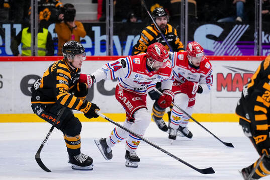 Skellefteås Zeb Forsfjäll och Timrås Emil Pettersson