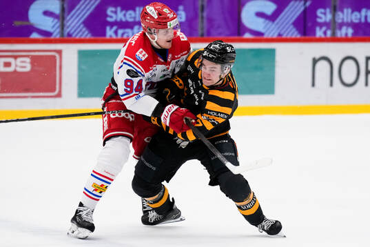 Timrås Sebastian Hartmann och Skellefteås Frans Haara