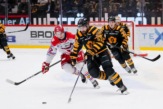 Timrås Erik Walli Walterholm och Skellefteås Luke