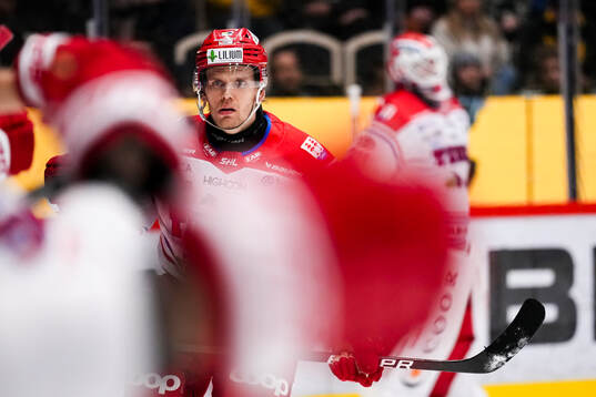 Timrås Anton Wedin jublar