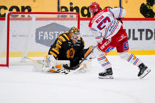Timrås Anton Wedin och Skellefteås målvakt Linus