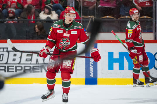 Modos Lukas Jasek deppar