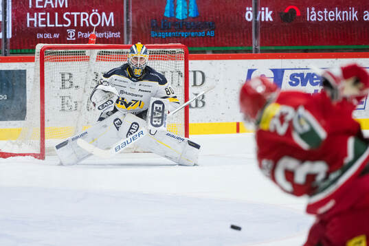 HV71s målvakt Frederik Dichow