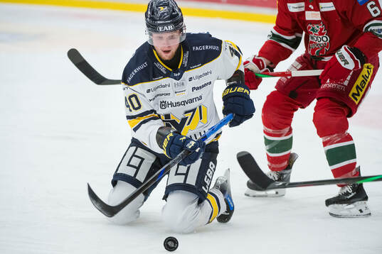 HV71s Oskar Stål-Lyrenäs