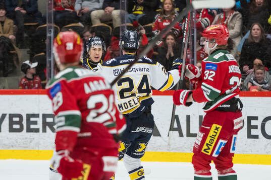 HV71s Jonathan Ang jublar