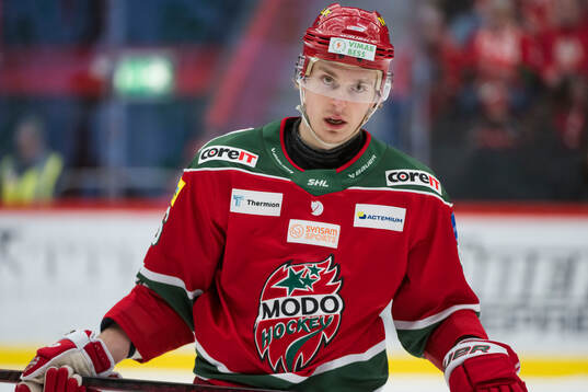 Modos Lukas Jasek deppar
