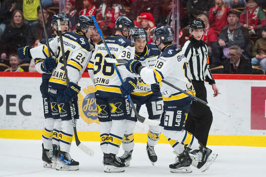 HV71s spelare jublar