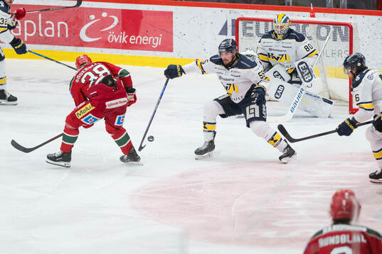 HV71s Mikael Seppälä och målvakt Frederik Dichow och