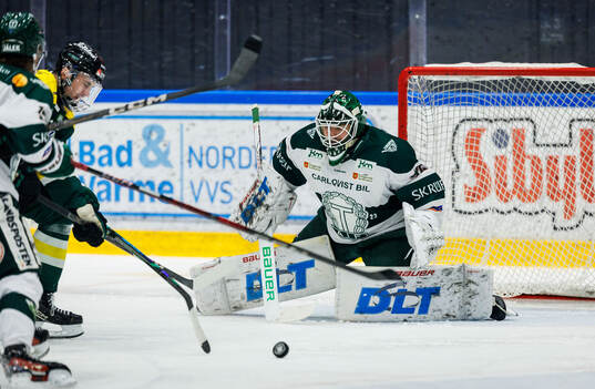 Tingsryds målvakt Pontus Eltonius