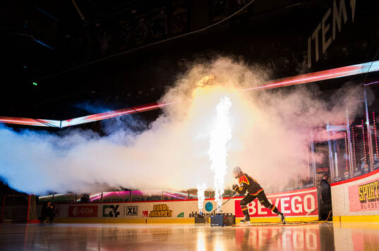 Brynäs Maja Ålenius