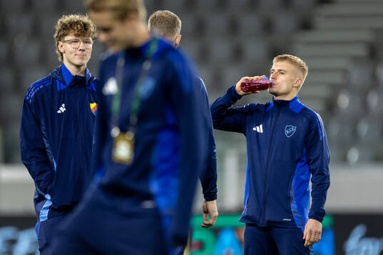 Players of Djurgården