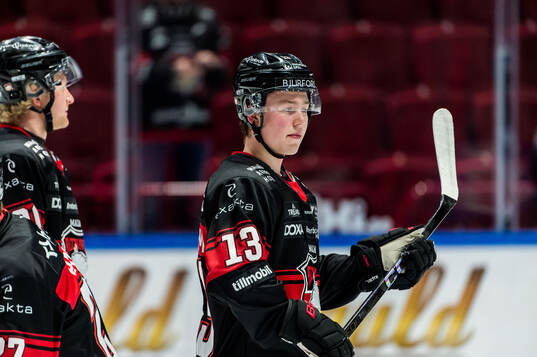 Malmö Redhawks Petter Vesterheim