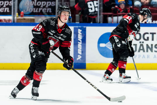 Malmö Redhawks Petter Vesterheim