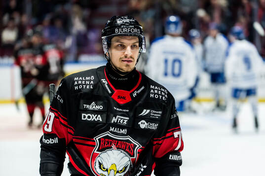 Malmö Redhawks Jakub Galvas