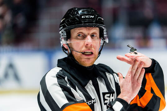Domare Mikael Holm