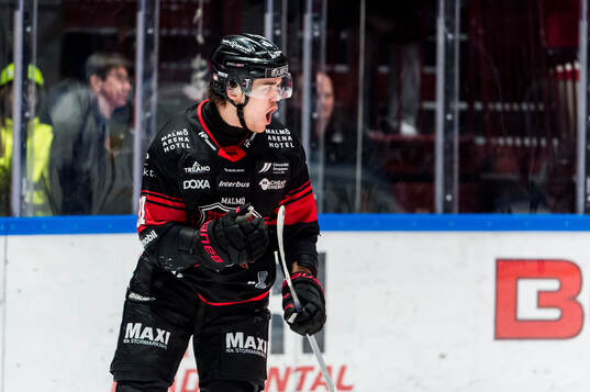 Malmö Redhawks Axel Sundberg jublar