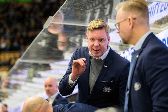 HV71s tränare Anton Blomqvist