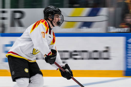 Brynäs Michal Svrcek