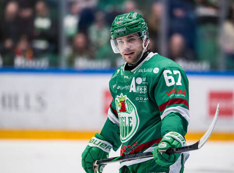 Rögles Leon Bristedt