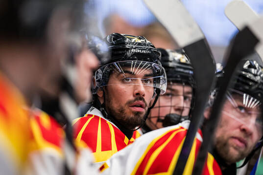Brynäs Tyler Vesel