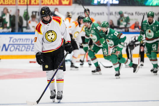 Brynäs Michal Svrcek deppar