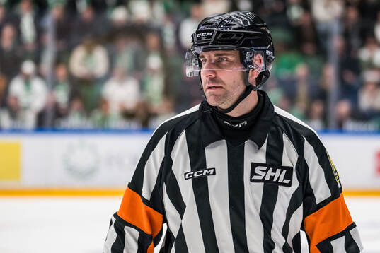 Domare Mikael Sjöqvist