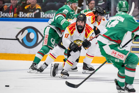 Brynäs Michal Svrcek