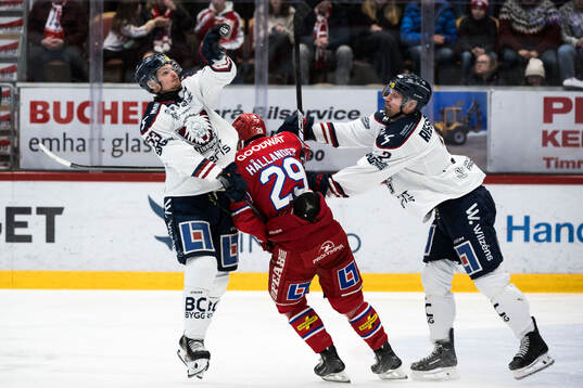 Linköpings Adam Hofbauer och Rasmus Rissanen och Timrås