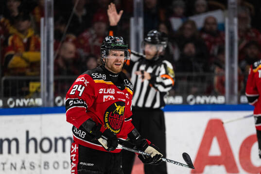Luleås Brendan Shinnimin blir utvisad