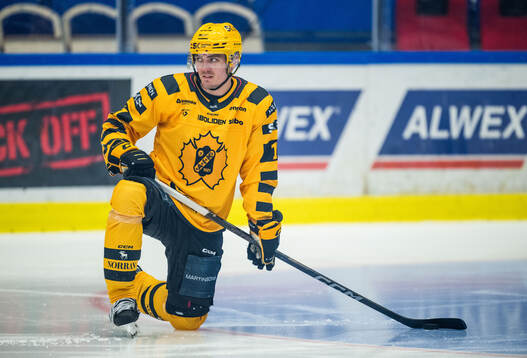 Skellefteås Max Lindholm