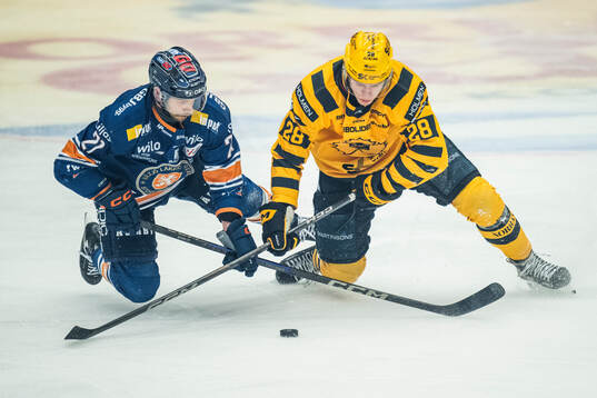 Växjös Brian Cooper och Skellefteås Michael