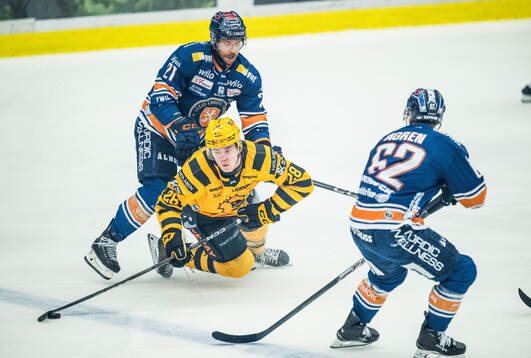 Skellefteås Michael Brandsegg-Nygård och Växjös Brian