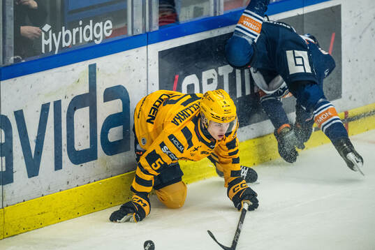 Skellefteås Axel Sandin Pellikka och Växjös Karl