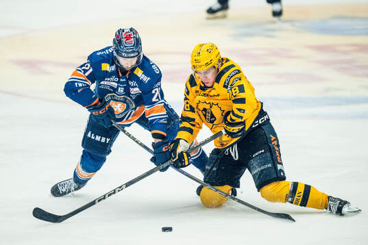 Växjös Brian Cooper och Skellefteås Michael