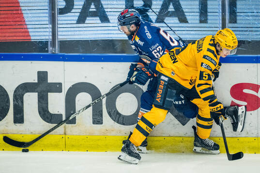 Växjös Manuel Ågren och Skellefteås Axel Sandin Pellikka