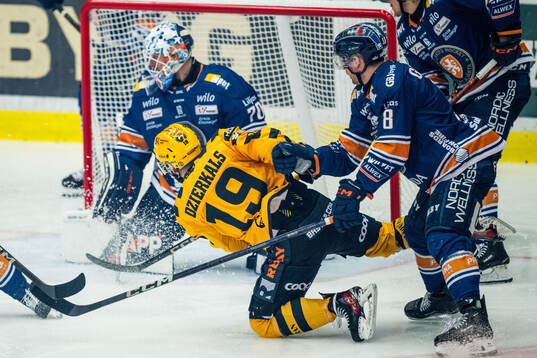 Skellefteås Martins Dzierkals och Växjös målvakt Adam