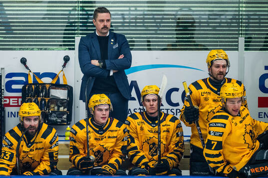 Skellefteås tränare Pierre Johnsson