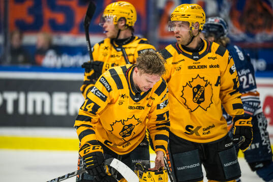 Skellefteås Andreas Johnson har ontunder ishockeymatchen i
