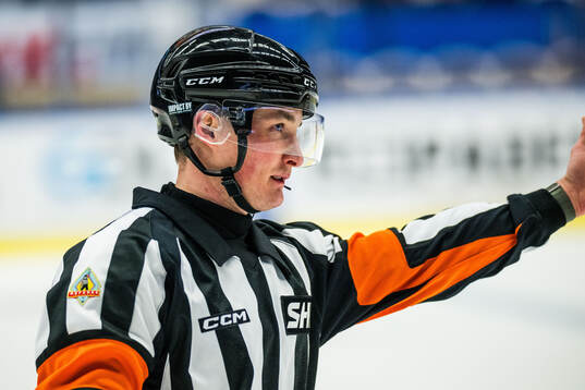 Domare Alexander Österberg
