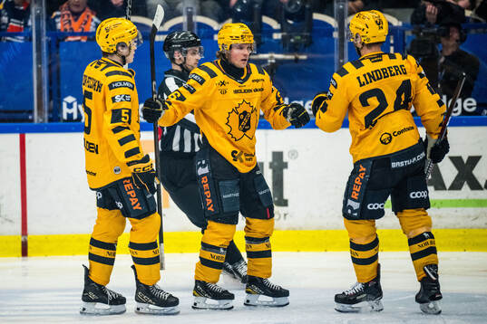 Skellefteås Anton Heikkinen jublar