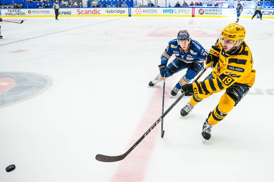 Växjös Karl Henriksson och Skellefteås Martins Dzierkals