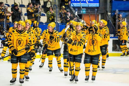 Skellefteå spelare jublar