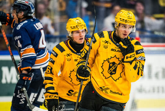 Skellefteås Rickard Hugg jublar