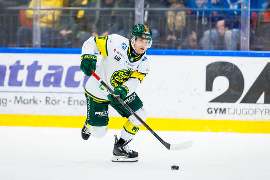 Björklövens Marcus Nilsson