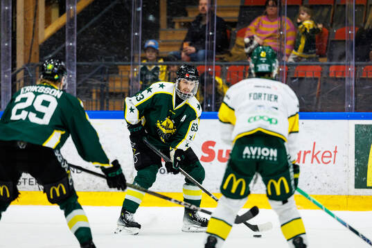 Under ishockeymatchen i Hockeyallsvenskan mellan Östersund