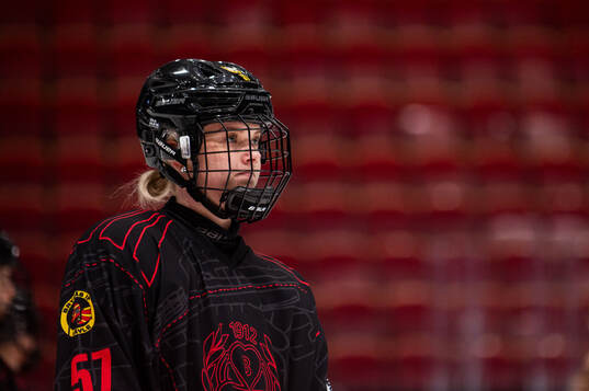 Brynäs Maja Ålenius