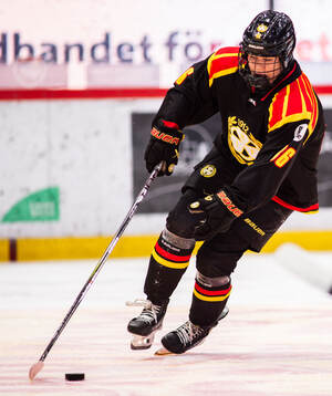 Brynäs Sanni Vanhanen