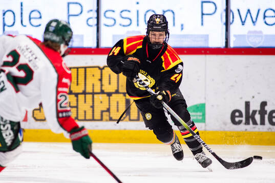 Brynäs Sara Cajanova