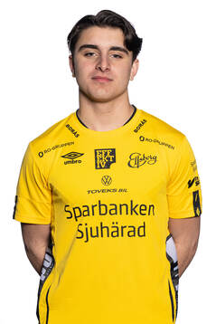 Noah Persson Amin-Zada