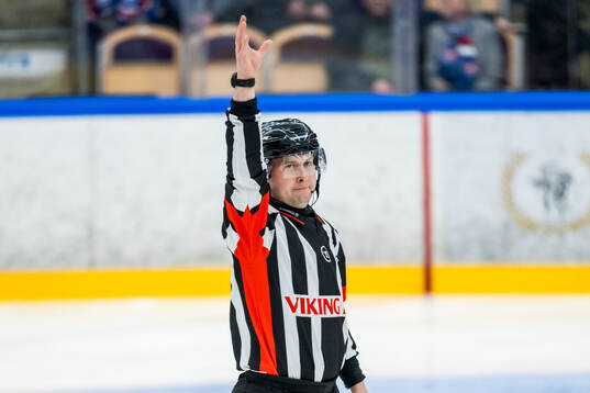 Domare Alex Eriksson